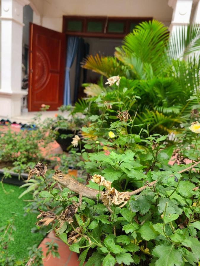 An Homestay Vinh Yen Zewnętrze zdjęcie